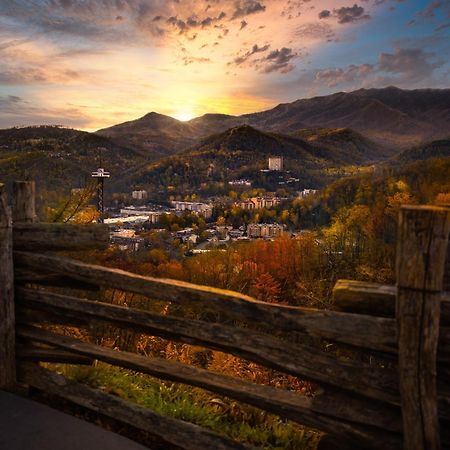 Owls Nest Tree House Hot Tub, Wifi, 1089 Free Tickets Each Paid Day, Dollywood And More Sevierville Εξωτερικό φωτογραφία