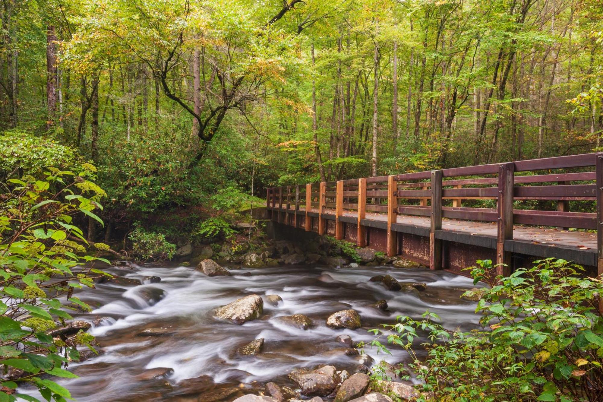 Owls Nest Tree House Hot Tub, Wifi, 1089 Free Tickets Each Paid Day, Dollywood And More Sevierville Εξωτερικό φωτογραφία
