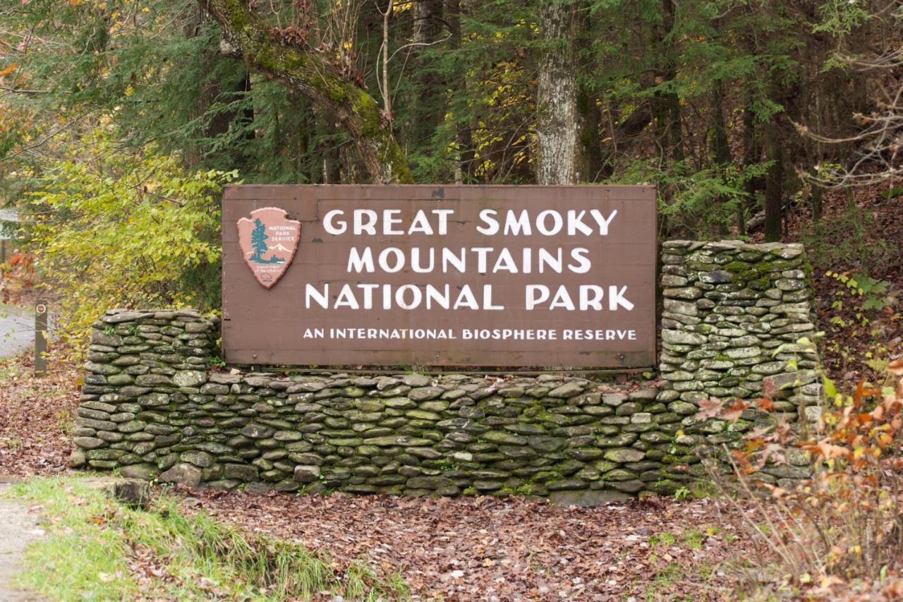 Owls Nest Tree House Hot Tub, Wifi, 1089 Free Tickets Each Paid Day, Dollywood And More Sevierville Εξωτερικό φωτογραφία